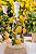 Castiçal de Limão Siciliano com Passarinhos - Imagem 1