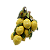 Tronco de limão siciliano com papagaio - Imagem 1