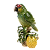 Papagaio no tronco com vasinho de abacaxi - Imagem 1