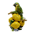 Bowl com limão e papagaio - Imagem 1