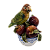 Bowl com maçãs e papagaio - Imagem 1