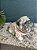 Cachorro Bulldog G com roupa floral - Imagem 2