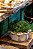Pré-venda Centro de mesa redondo P com cogumelos Zanatta Casa - Imagem 2
