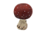 Pré-venda Enfeite de cogumelo vermelho P com cabaça avulso Zanatta Casa - Imagem 1