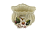 Pré-venda Cachepot antique com relevo de flores e insetos Zanatta Casa - Imagem 1