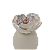 Difusor cabaça branco opaco com rosa P - Imagem 3