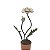 Bonsai com rosas brancas e folhas em latão M - Imagem 3