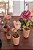 Vaso com tulipa dupla de papel (32 cm) - Imagem 2