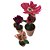 Trio de vasos com flores de papel 5 - Imagem 3