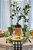 Bonsai de limão Taiti em vaso terracota - Imagem 2