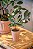Bonsai de limão Taiti em vaso terracota P - Imagem 3