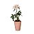 Vaso com rosa aberta em cerâmica - Imagem 1