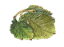 Prato Dior hera verde envelhecido - Imagem 1