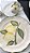 Set Prato sobremesa e xícara Limão Siciliano - Imagem 2