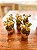 Mini topiaria limão siciliano - Imagem 3