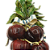 Penca tomates grandes com laço - Imagem 2