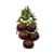 Penca tomates grandes com laço - Imagem 1