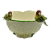 Cachepot folha de repolho com ararinhas G - Imagem 1