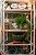 Cachepot Shabby M com mini abacaxis verde hera - Imagem 3