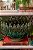 Cachepot Shabby M com mini abacaxis verde hera - Imagem 2