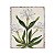 Placa decorativa flores brancas indianas - Imagem 1