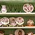 Prato decorativo de parede apliques de mini rabanetes - Imagem 2