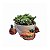 Bowl com apliques de patos - Imagem 1