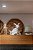 bombonière coelhos Zanatta Casa - Imagem 2
