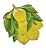 Petisqueira Limão Siciliano Relevo - Imagem 1