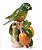 Papagaio no Tronco Caju de cerâmica Zanatta Casa - Imagem 3