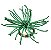 Porta guardanapo coral verde celadon (jogo com 4) - Imagem 1