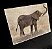 Quadro elefante horizontal - Imagem 2