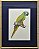 Aquarela de pássaro 11 com passpatour marinho Zanatta Casa - Imagem 1
