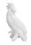 Cacatua lateral (27 cm altura) - Imagem 1