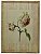 Quadro gravura de rosas com moldura de faux bambu 8 - Imagem 1