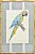 Quadro gravura pássaro com moldura de faux bamboo fundo listra 1 - Imagem 1