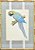 Quadro gravura pássaro com moldura de faux bamboo fundo listra 2 - Imagem 1