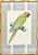 Quadro gravura pássaro com moldura de faux bamboo fundo listra 4 - Imagem 1