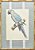 Quadro gravura pássaro com moldura de faux bamboo fundo listra 5 - Imagem 1