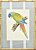 Quadro gravura pássaro com moldura de faux bamboo fundo listra 10 - Imagem 1