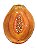 Porta Mamão Papaya com sementes brancas - Imagem 1