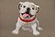 Capacho Pet - Bulldog - Imagem 2