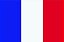 Capacho Páis - Bandeira França - Imagem 3