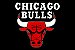 Capacho Basquete - Chicago Bulls - Imagem 3