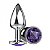 Plug Anal Com Pedra Silver Pequeno La Pimienta - Roxo - Imagem 3