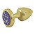 Plug Less P Dourado Com Pedra Cravejada Hard - Lilas - Imagem 2