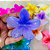 12 Unidades Piranha de Flor Para Cabelo Grande Cor Aleatória Atacado Box Fechado - Imagem 3
