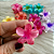 12 Unidades Piranha de Flor Para Cabelo Pequena Cor Aleatória Atacado Box Fechado - Imagem 1