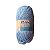 Lã Cisne Premium 100g 280m - C6024 - Imagem 1