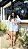 Conjunto camisa ROSALIE - Imagem 8